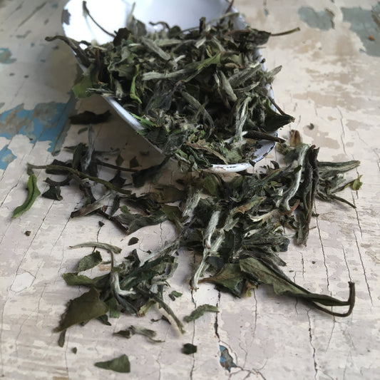 Té blanco Pai Mu Tan - 50 g