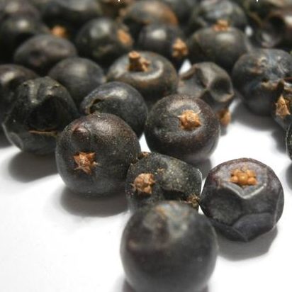 Bayas de enebro (Italia) - 30 g
