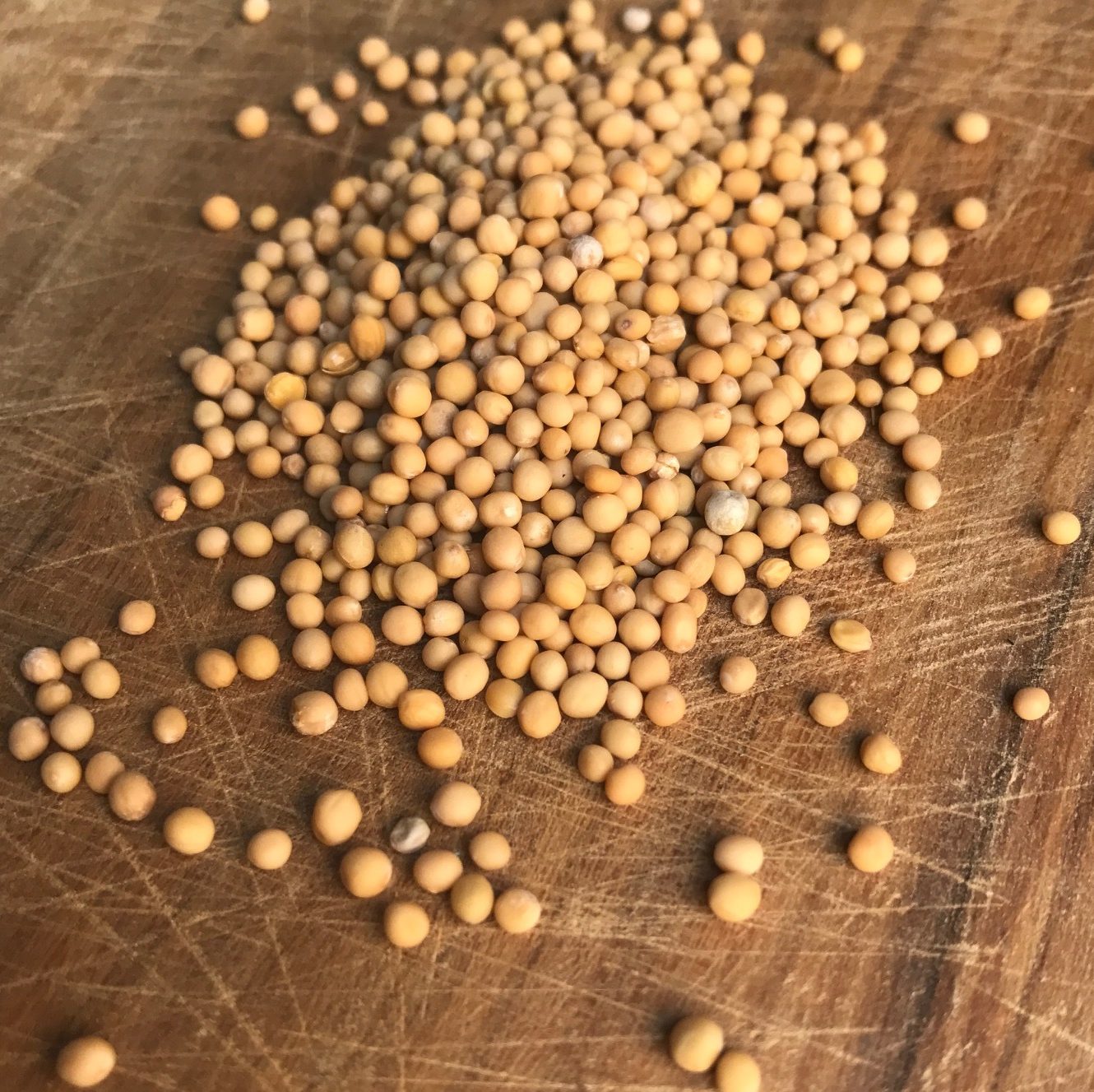 Semillas de mostaza amarilla (Asia, Europa) - 30 g